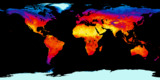 Earth Surface Temperature