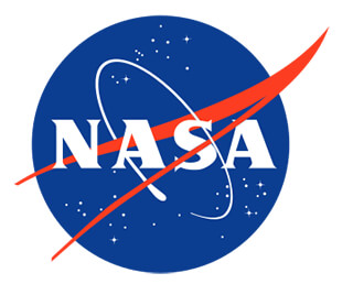 NASA Meatball Logo